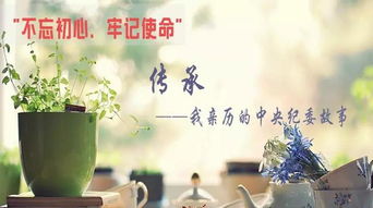 平原紀(jì)檢 執(zhí)紀(jì)問責(zé)非文藝創(chuàng)作，求真務(wù)實(shí)方顯擔(dān)當(dāng)